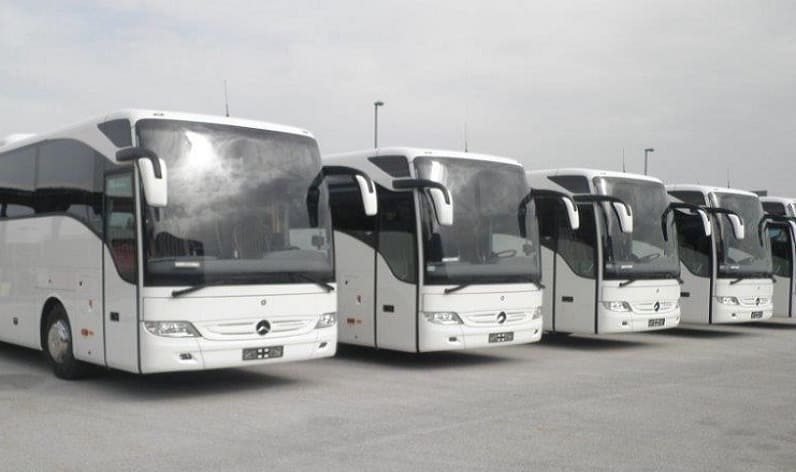Jász-Nagykun-Szolnok: Bus company in Törökszentmiklós in Törökszentmiklós and Hungary