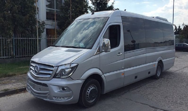 Timiș County: Buses rent in Timișoara in Timișoara and Romania